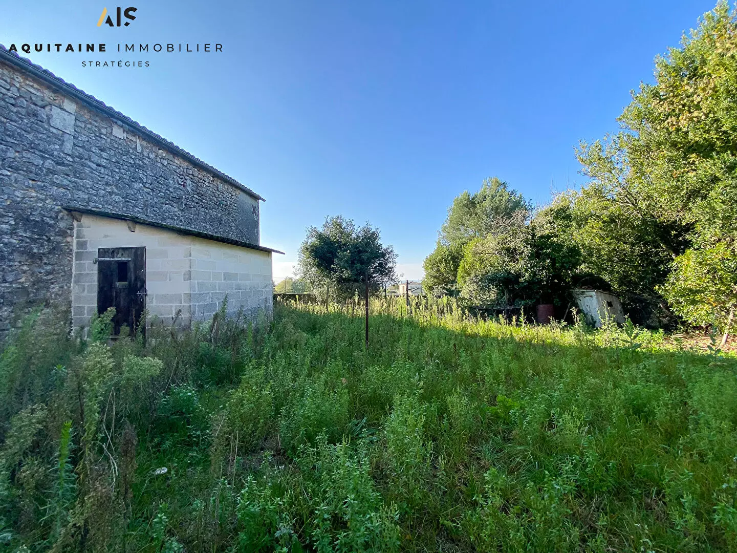 Ancienne propriété viticole - maison charentaise et dépendances / image 11