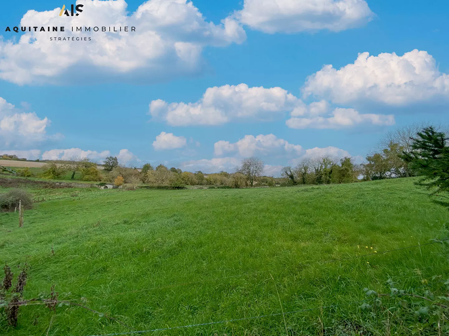AQUITAINE IMMOBILIER STRATEGIES - BERNAC - MAISON T4 - 100 M2 - TERRAIN + DEPENDANCES / image 8