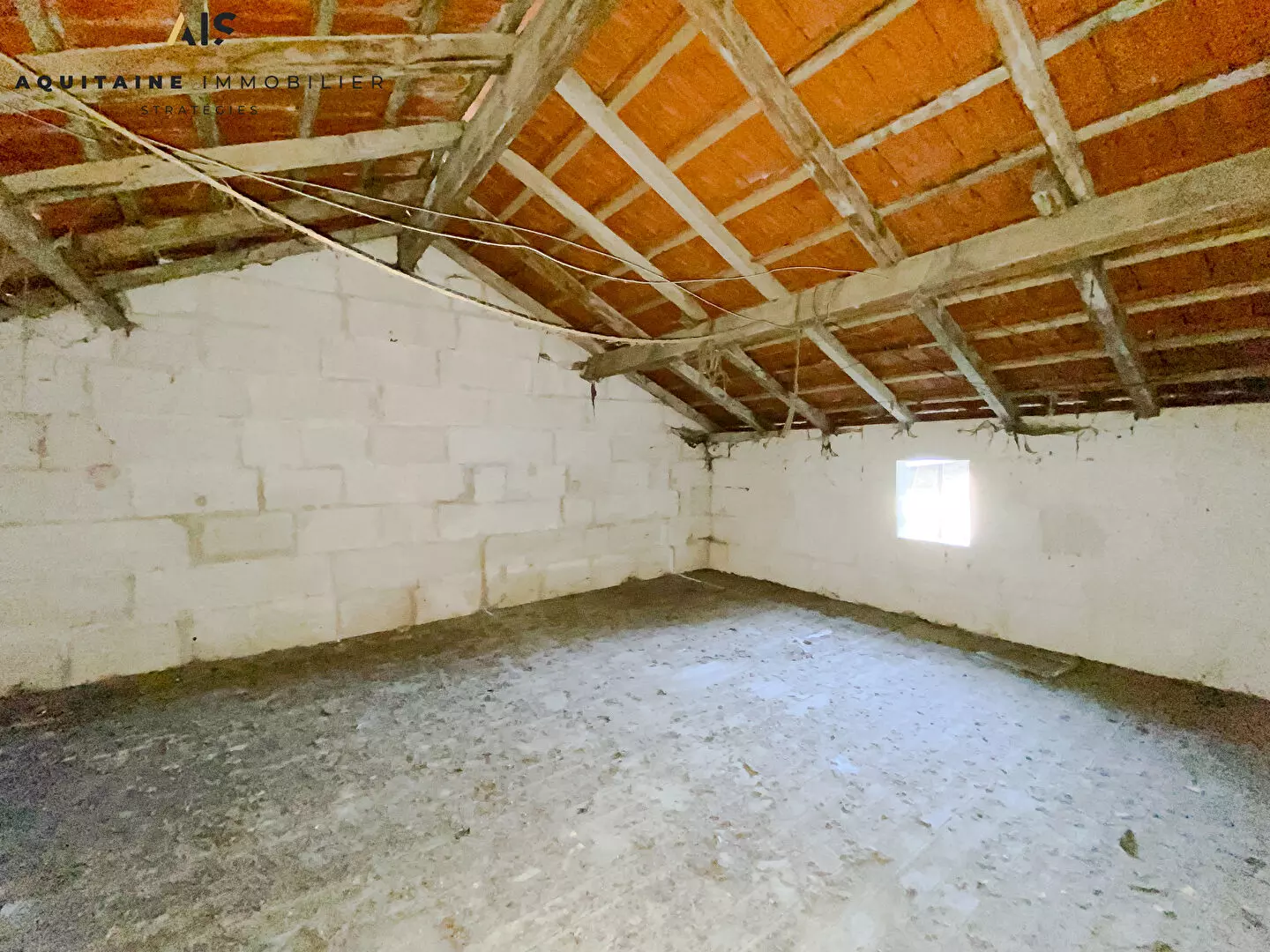 Ancienne propriété viticole - maison charentaise et dépendances / image 6
